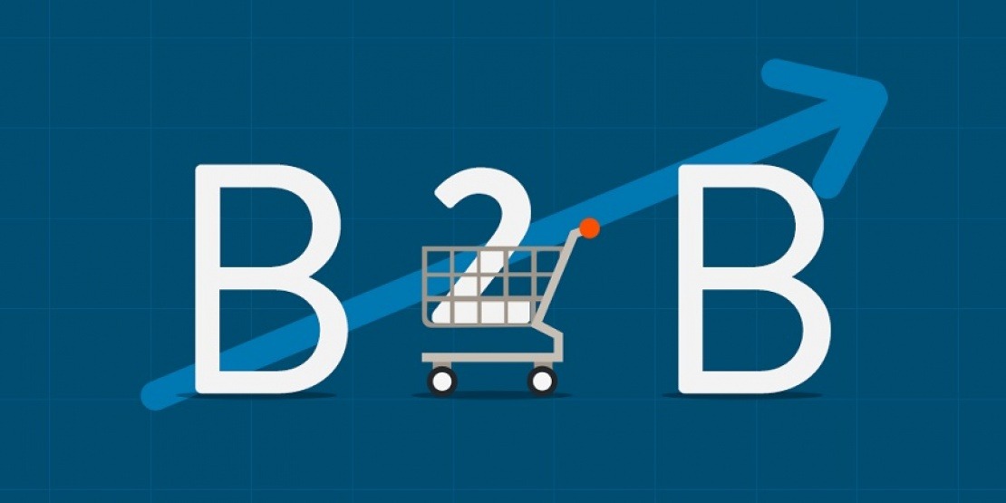Ecommerce B2B 863X431_1110x555